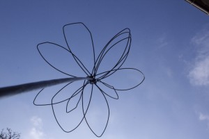 fleur déco jardin